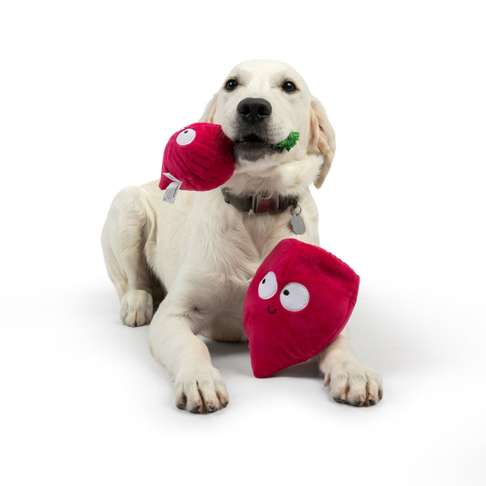 Dog with Pop 'n Fetch Beet Dog Toy.