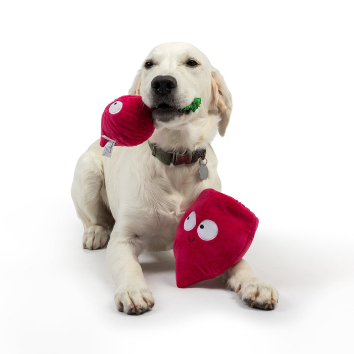 Pop 'n Fetch Beet Dog Toy