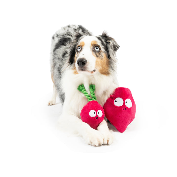 Pop 'n Fetch Beet Dog Toy