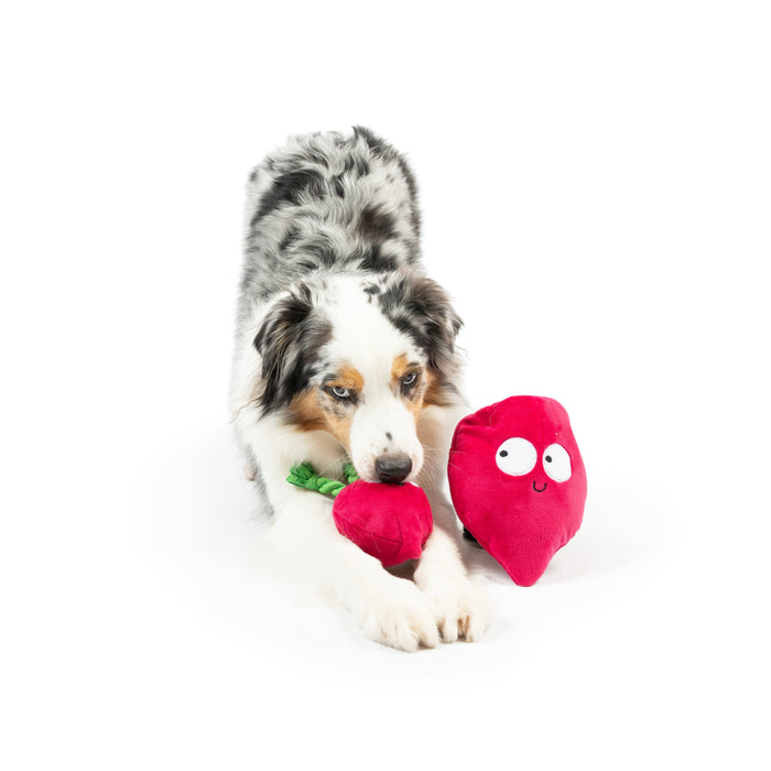Pop 'n Fetch Beet Dog Toy