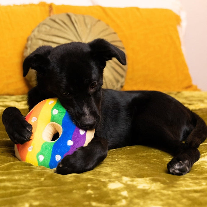 Pride Donut