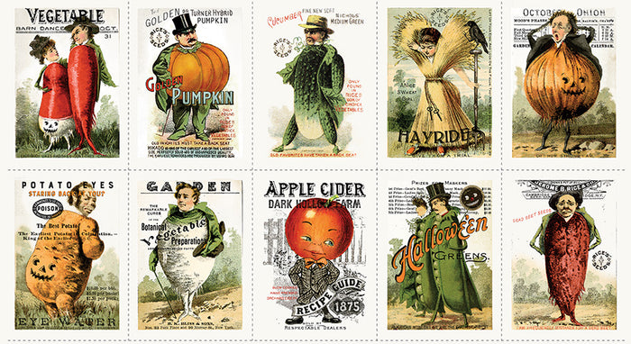 Pumpkin Patch Panel 24" x 43" Seedy Characters Patch, Fabric by Riley Blake Designs, Halloween