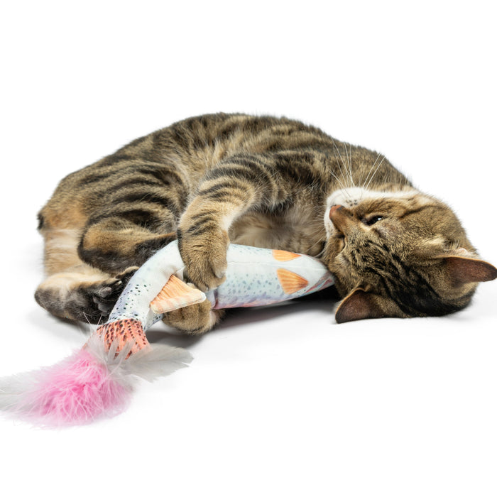 Cat with Rainbow Trout Kicker Cat Toy.