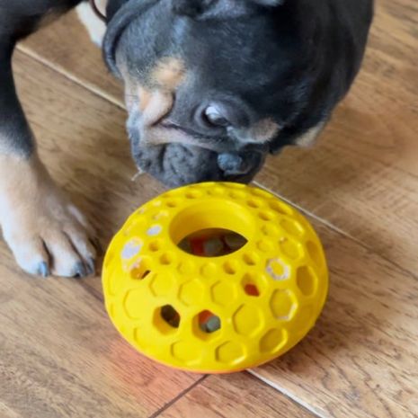 Reward Rubber Hive-5" Yellow