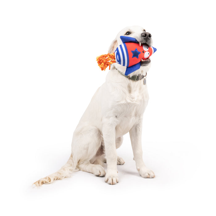 Dog with Rocket Man Dog Toy.