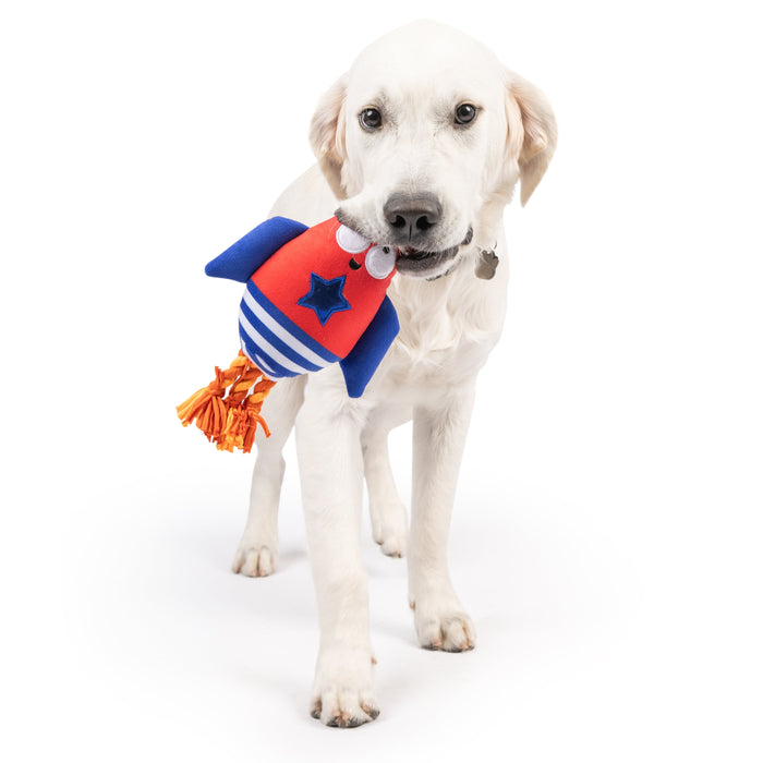 Dog with Rocket Man Dog Toy.
