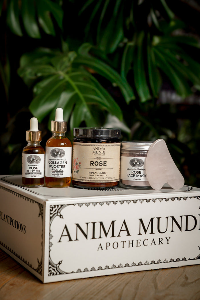 ROSE MAGIC KIT | Heart Alchemy*