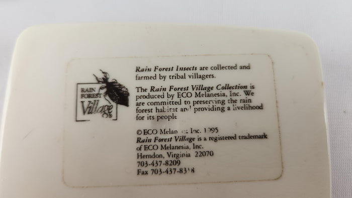 Rosenbergia Strauss Beetle