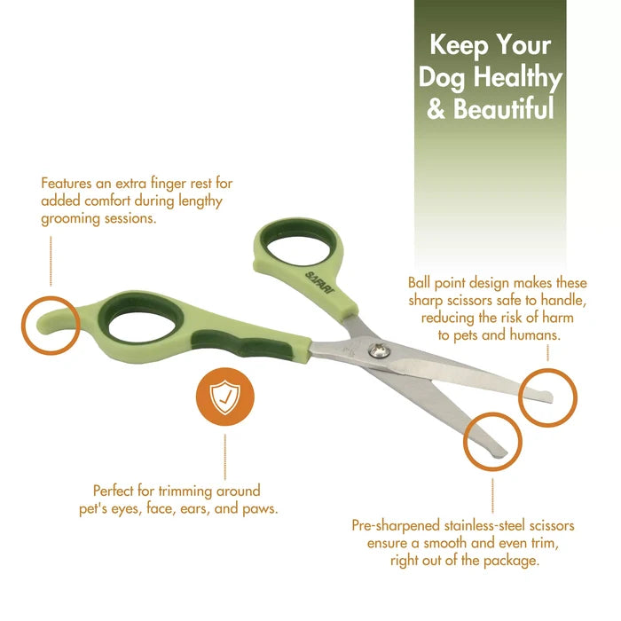Safari 6" Safety Scissors