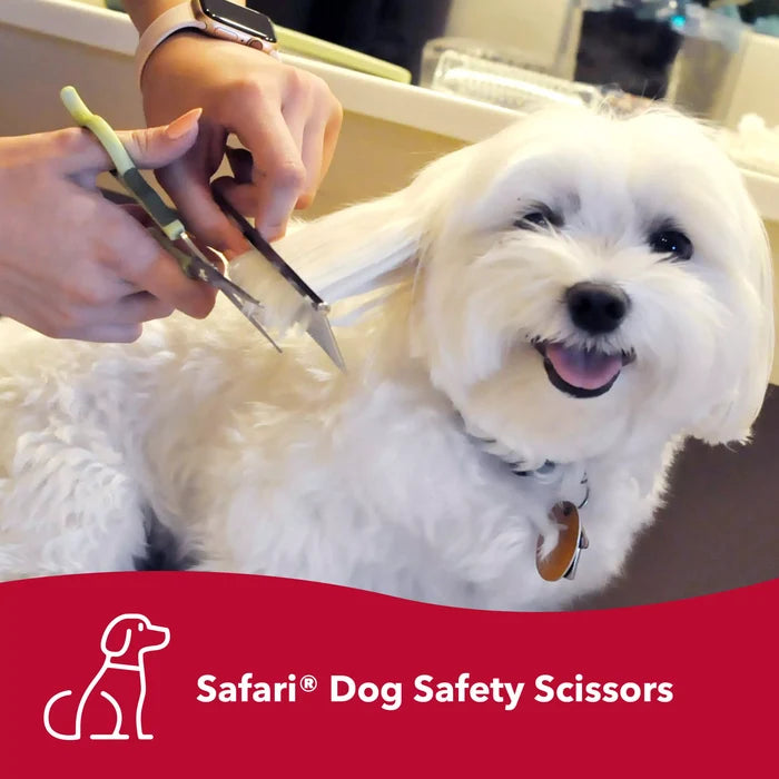 Safari 6" Safety Scissors