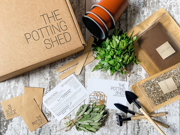 SALE - Indoor Herb Growing Kit