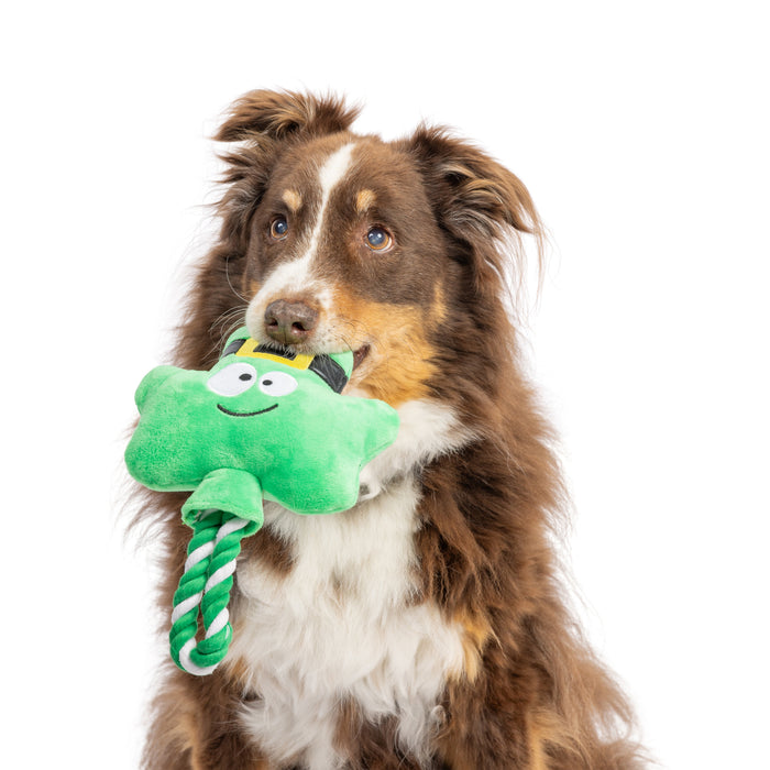 Dog with Shamrock Lollipop Dog Toy.