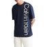 Alpine Berry Swatch