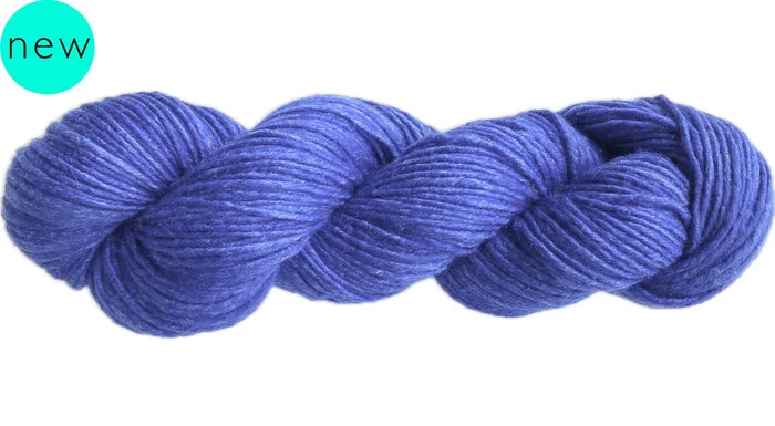 3255 Ion
