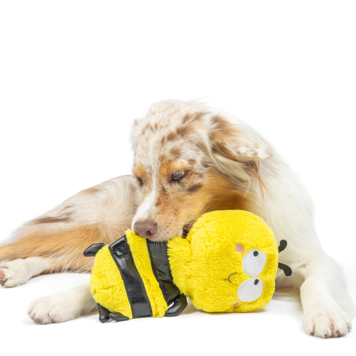 Dog with a bumble bee plush toy featuring Slappies® Buzz Bee.
