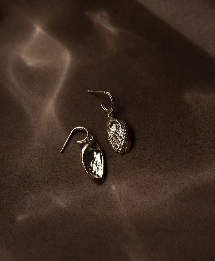 Soul Paua Earrings | 22k Gold Vermeil