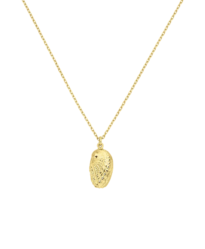 Soul Paua Necklace | 22k Gold Vermeil