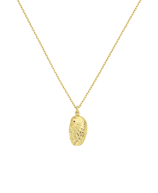 Soul Paua Necklace | 22k Gold Vermeil