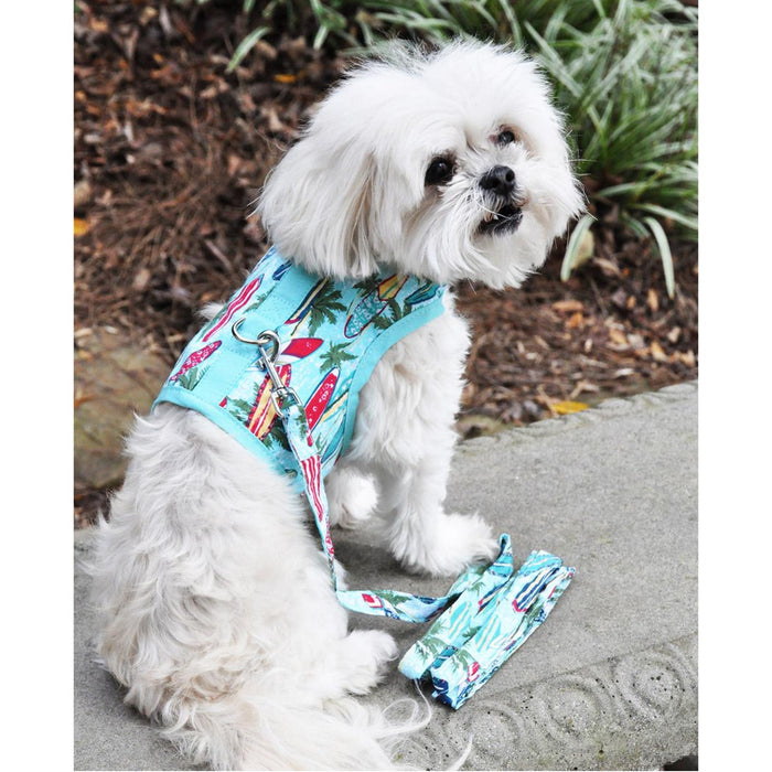 Surfboards & Palms Vest Harness & Leash
