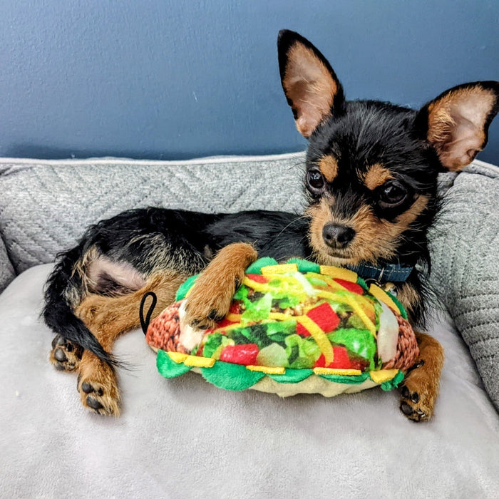Taco Tuesday