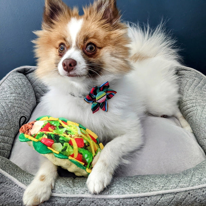 Taco Tuesday
