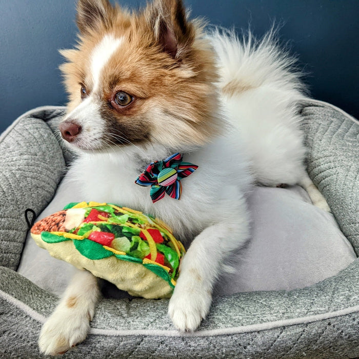 Taco Tuesday