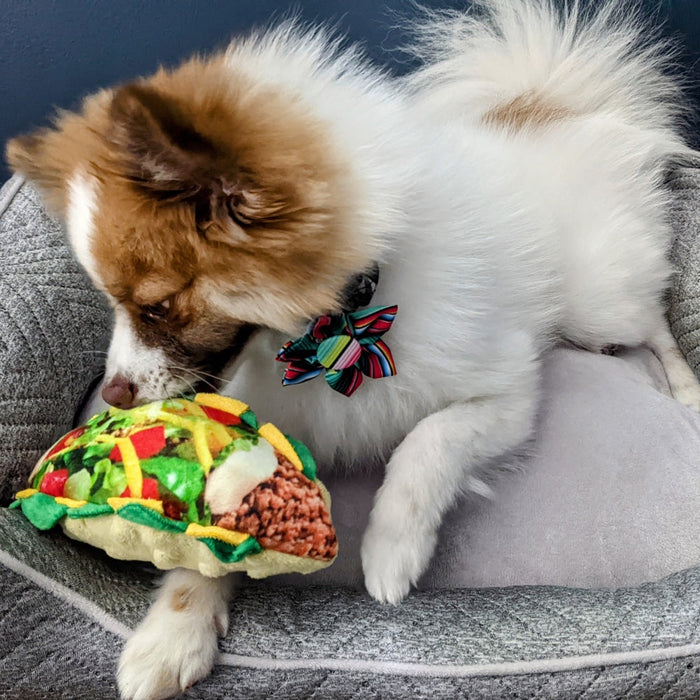 Taco Tuesday