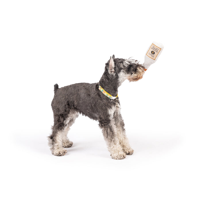 Dog with Tiny Tuff Toto's Pawdka.