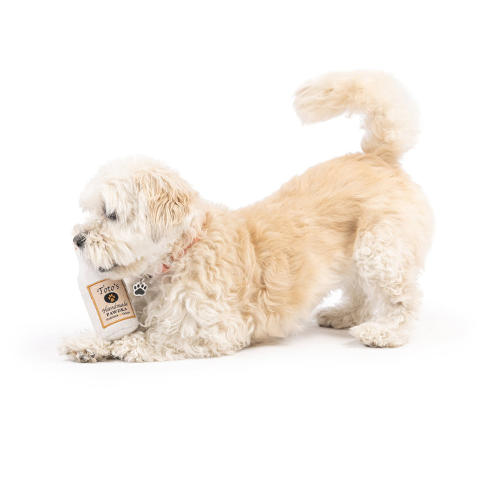 Tiny Tuff Toto's Pawdka