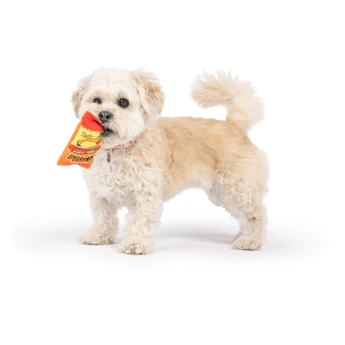 Dog with Tiny Tuff Treatos Snacks.