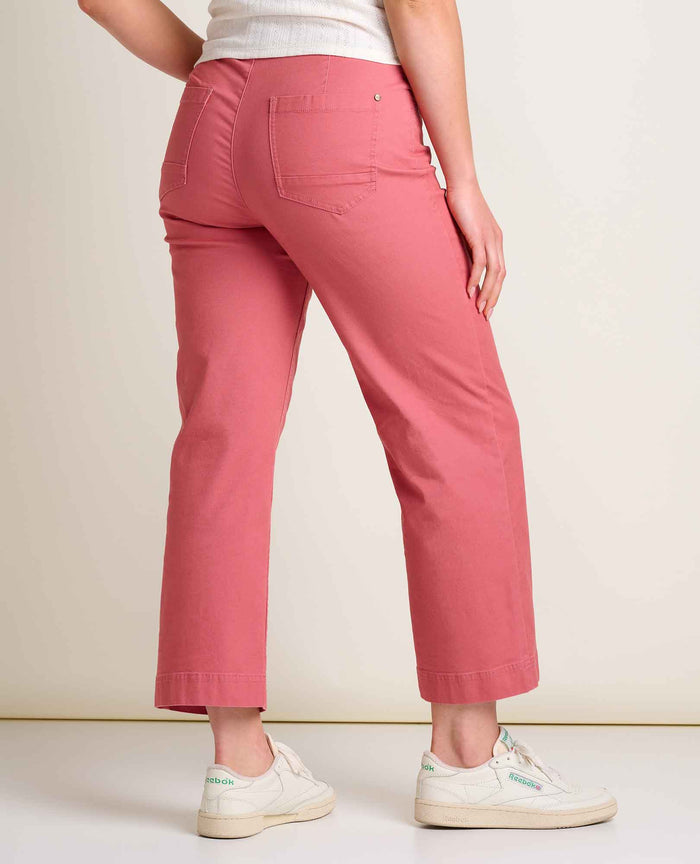 TOAD&CO EARTHWORKS WIDE PANT