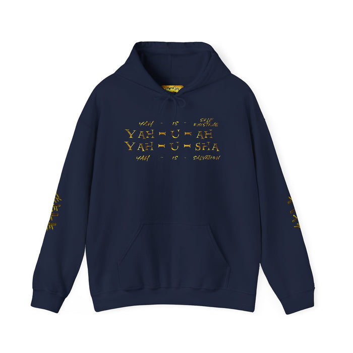 Truth Illustrated 02 Designer Gildan Unisex Heavy Blend Hoodie (4 colors)