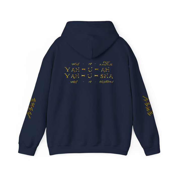 Truth Illustrated 02 Designer Gildan Unisex Heavy Blend Hoodie (4 colors)