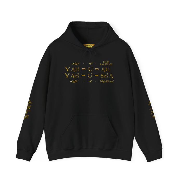 Truth Illustrated 02 Designer Gildan Unisex Heavy Blend Hoodie (4 colors)