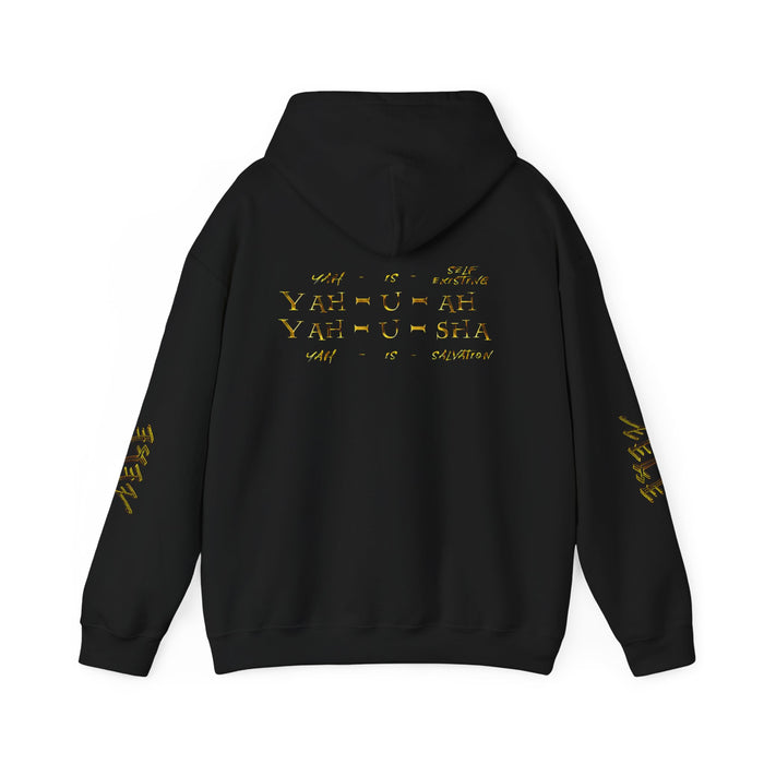 Truth Illustrated 02 Designer Gildan Unisex Heavy Blend Hoodie (4 colors)