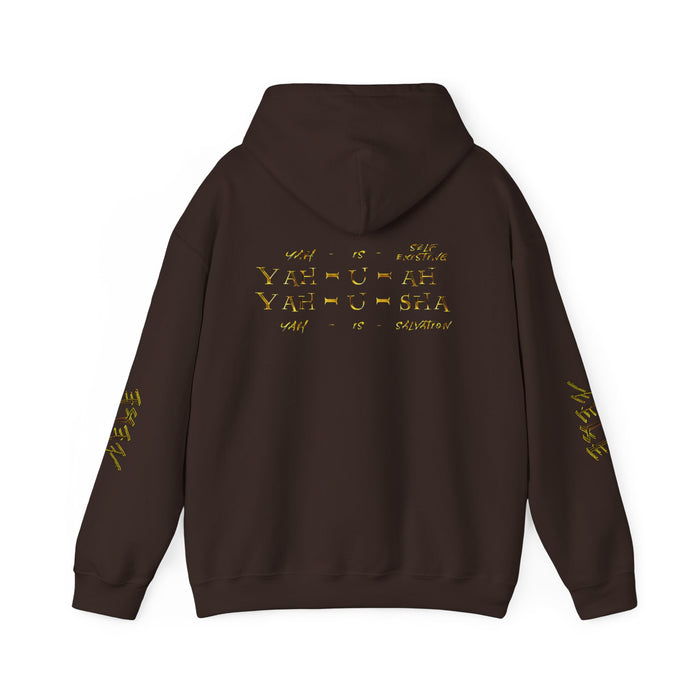 Truth Illustrated 02 Designer Gildan Unisex Heavy Blend Hoodie (4 colors)