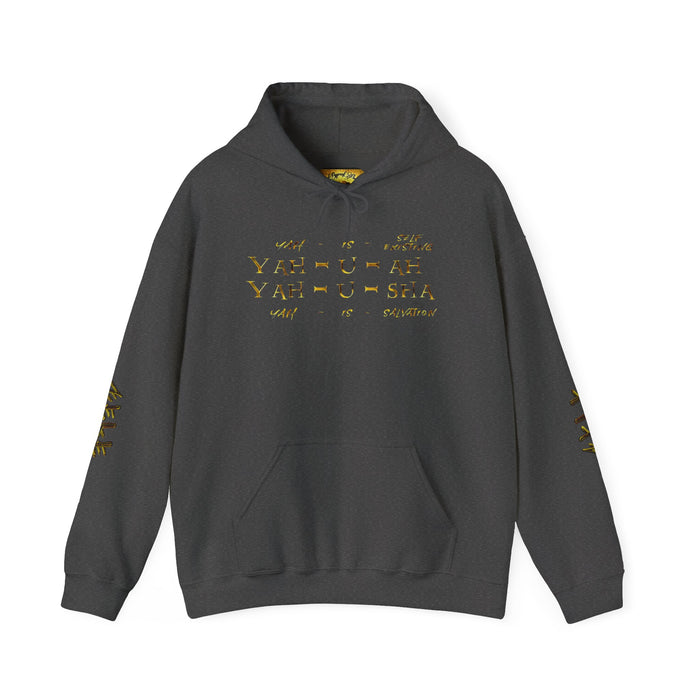 Truth Illustrated 02 Designer Gildan Unisex Heavy Blend Hoodie (4 colors)