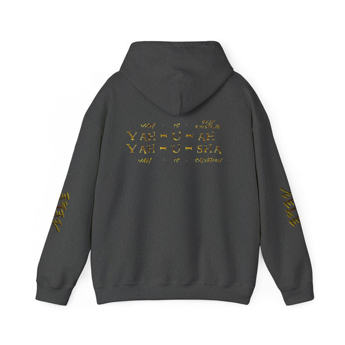 Truth Illustrated 02 Designer Gildan Unisex Heavy Blend Hoodie (4 colors)