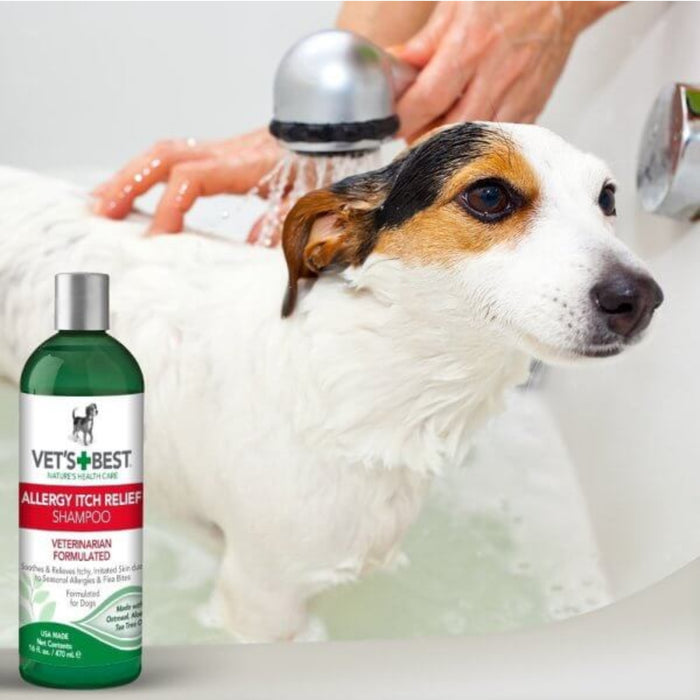 Vet's Best Dog Allergy Itch Relief Shampoo
