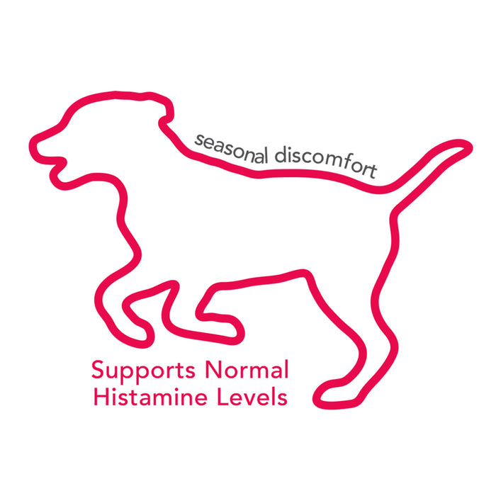Vet's Best Seasonal Allergy Chews