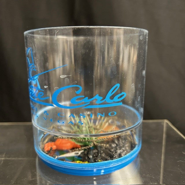 VTG Monte Carlo Casino Cups