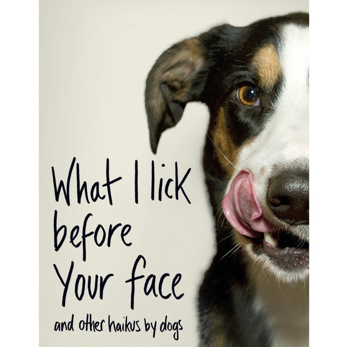 What I Lick Before Your Face