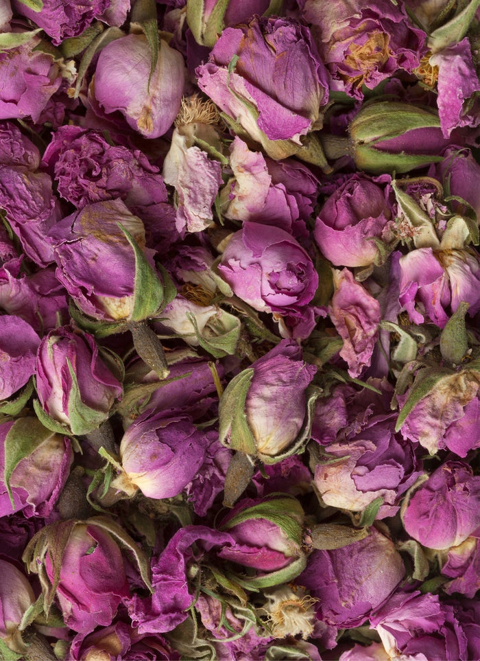 Close-up of dried purple flowers with green leaves