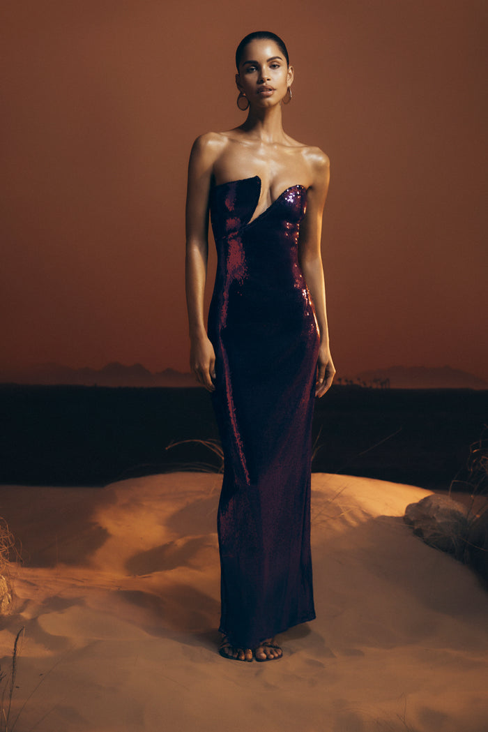 Winston Strapless Sequin Maxi Dress - Plum