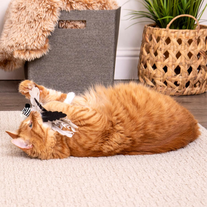 Zingy Zebra Feathers Cat Toy