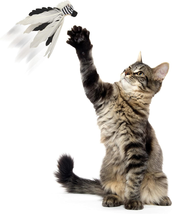 Zingy Zebra Feathers Cat Toy